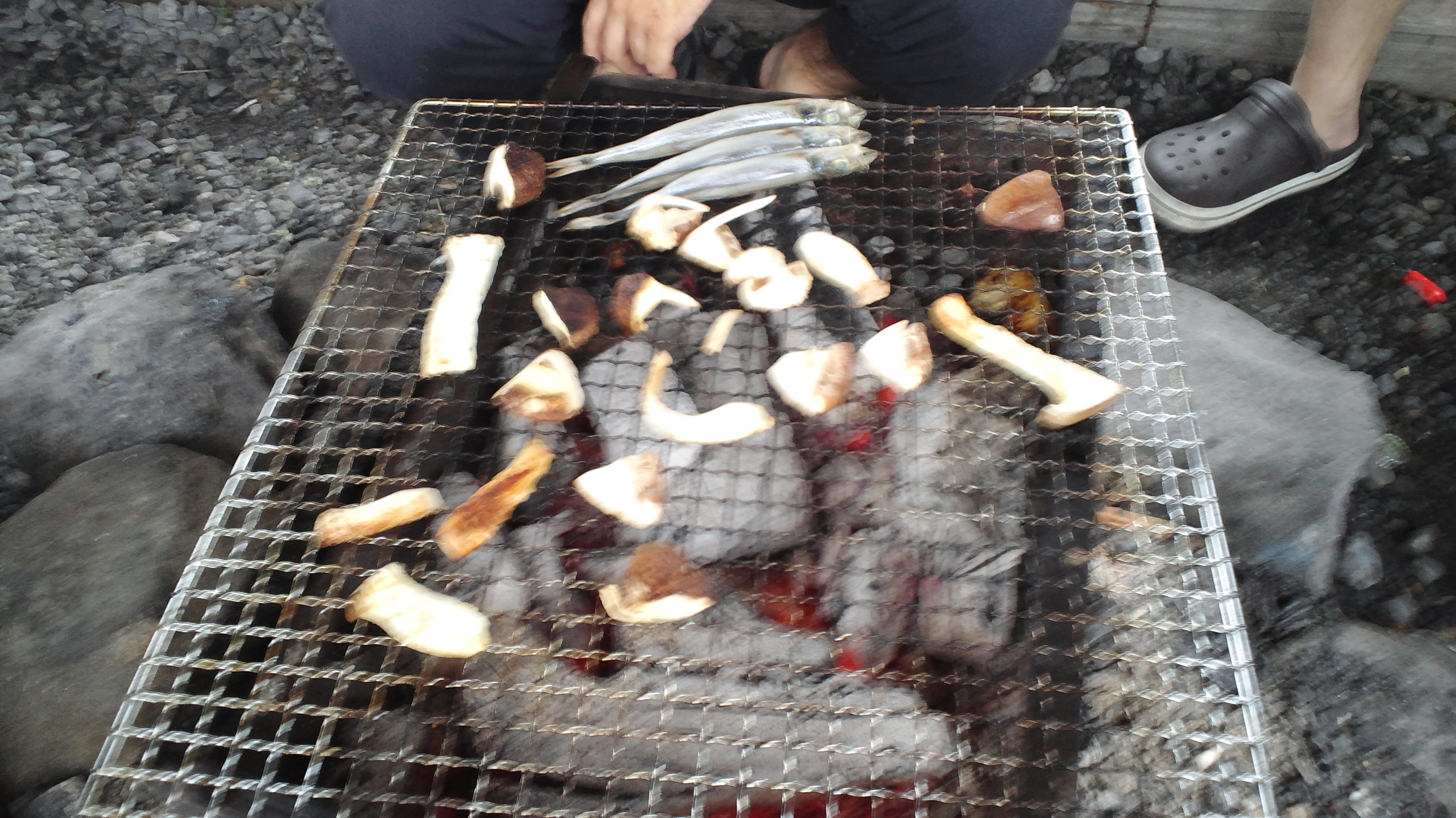 bbq1